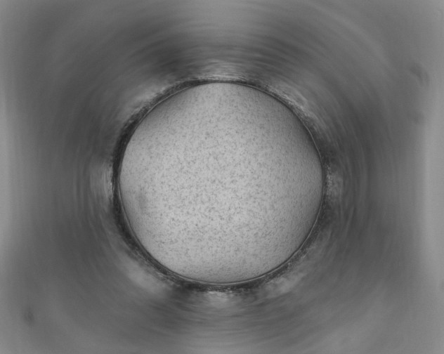 X0000110940302200906261306