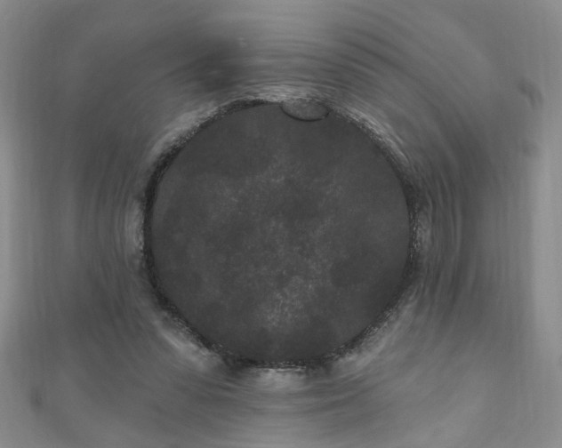 X0000110940303200906261306