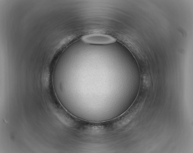 X0000110940304200906261306