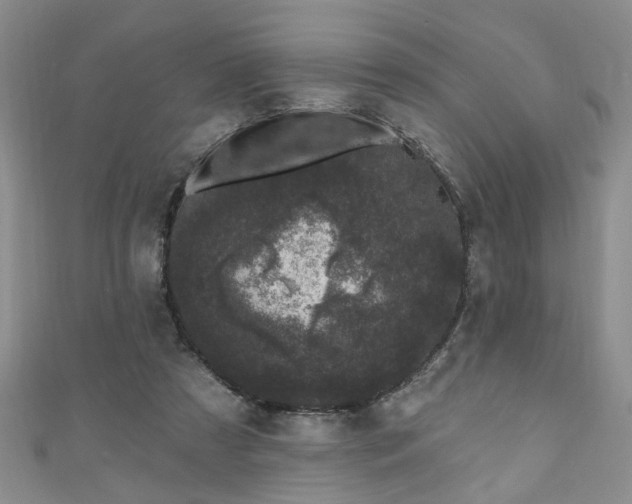 X0000110940305200906261306