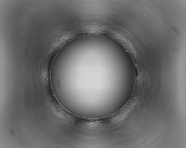 X0000110940306200906261306