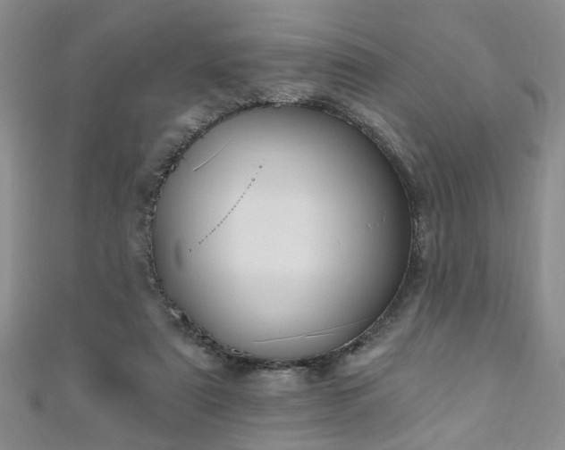 X0000110940307200906261306