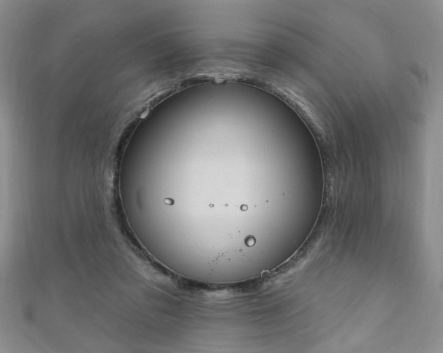 X0000110940309200906261306