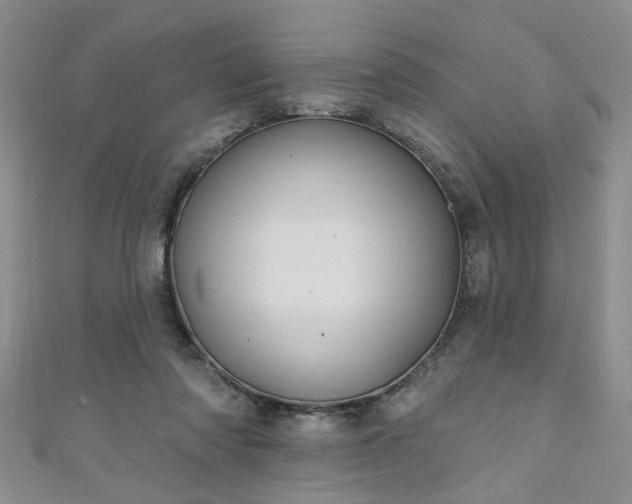 X0000110940310200906261306