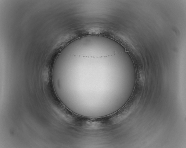 X0000110940311200906261306