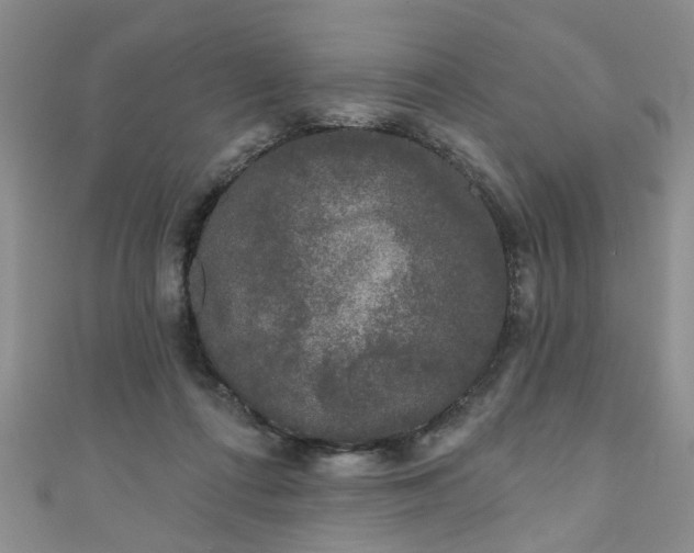 X0000110940312200906261306