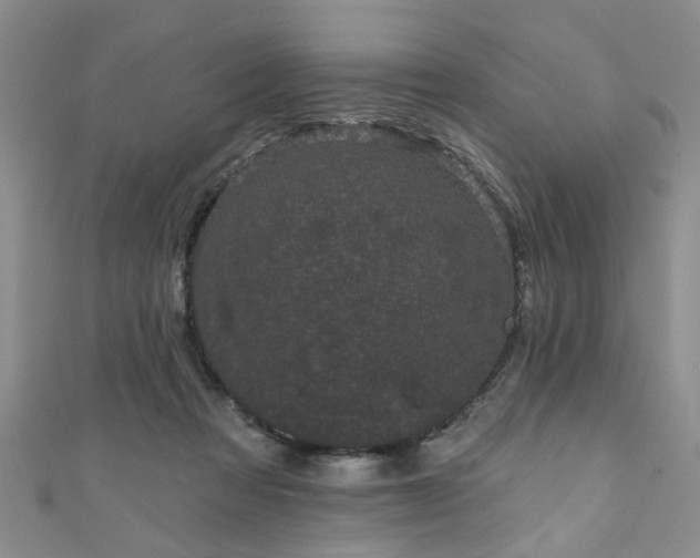 X0000110940313200906261306