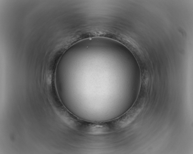 X0000110940315200906261306