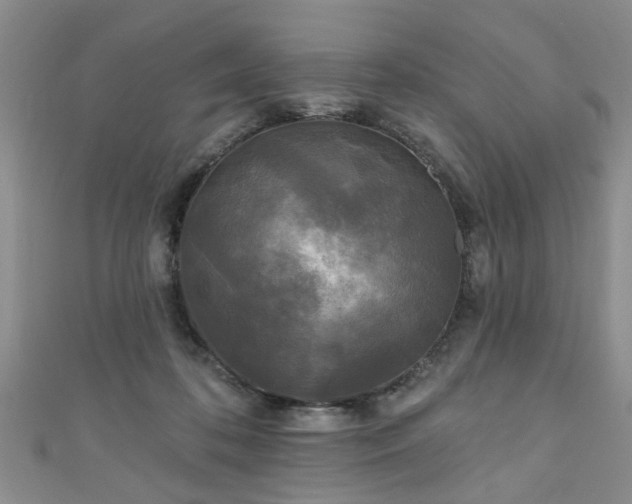 X0000110940316200906261306