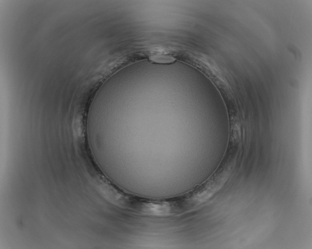 X0000110940317200906261306