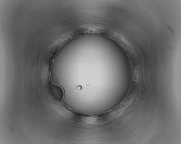 X0000110940318200906261306