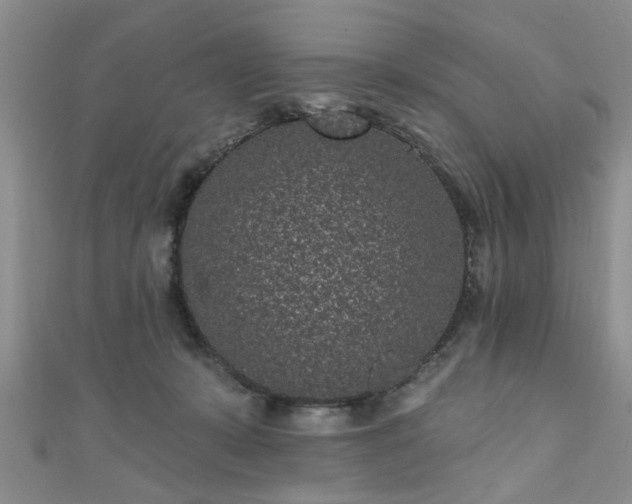 X0000110940319200906261306