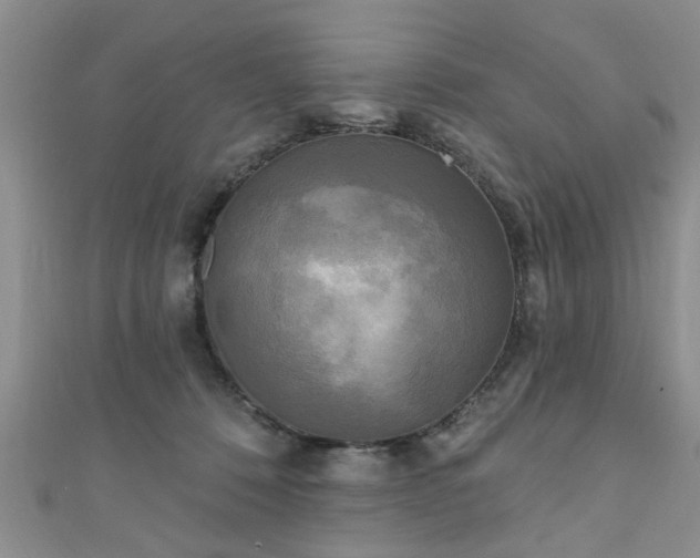 X0000110940320200906261306