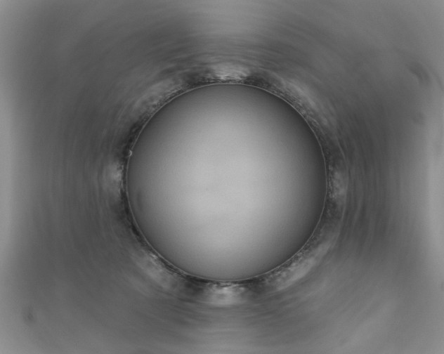 X0000110940321200906261306