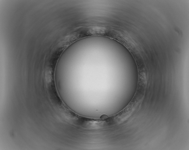 X0000110940323200906261306