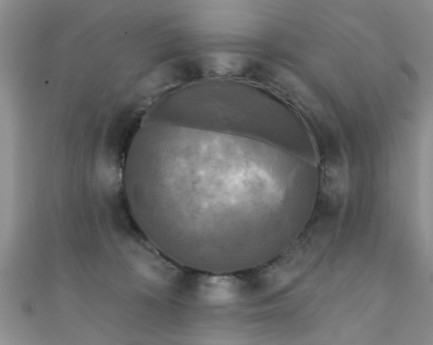 X0000110940324200906261306