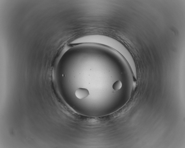 X0000110940325200906261306