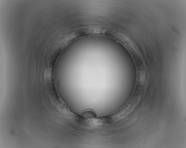 X0000110940326200906261306