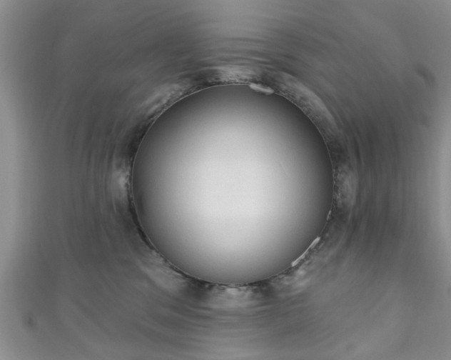 X0000110940329200906261306