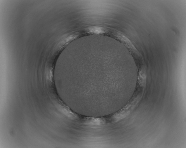 X0000110940330200906261306