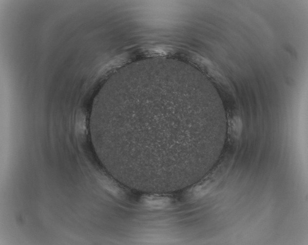 X0000110940331200906261306