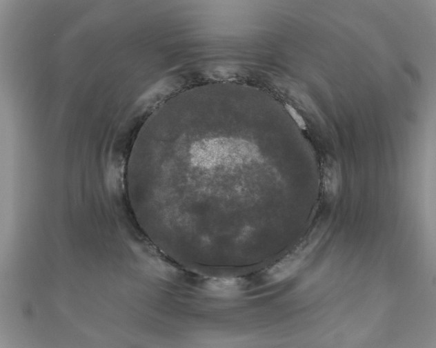 X0000110940332200906261306