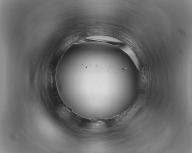 X0000110940333200906261306