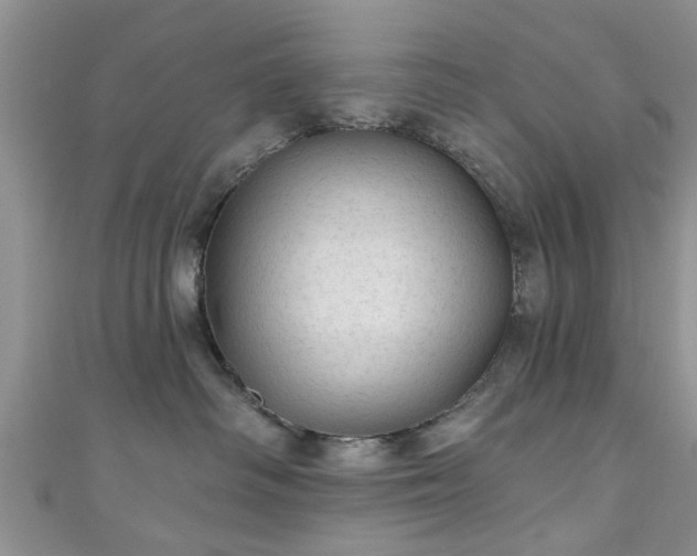 X0000110940334200906261305