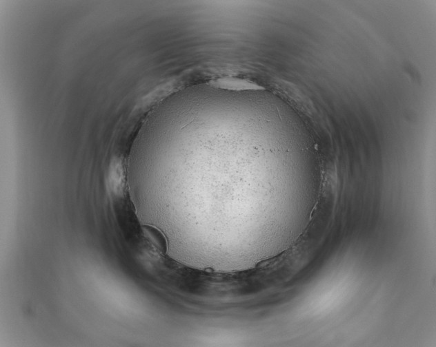 X0000110940335200906261305