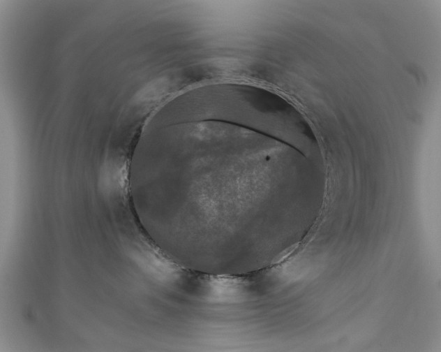 X0000110940336200906261305