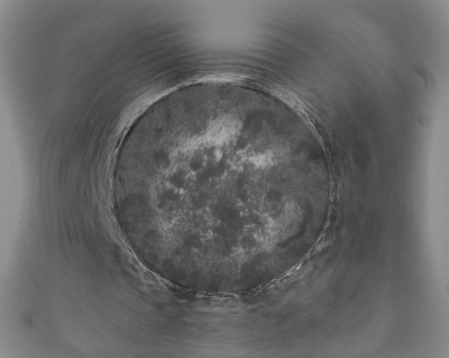 X0000110940337200906261305