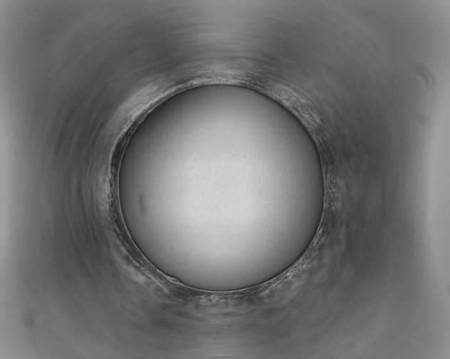 X0000110940338200906261305