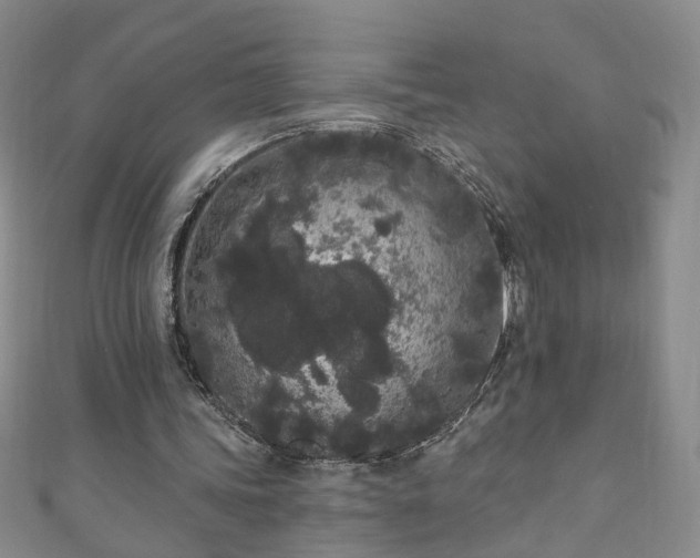 X0000110940339200906261305