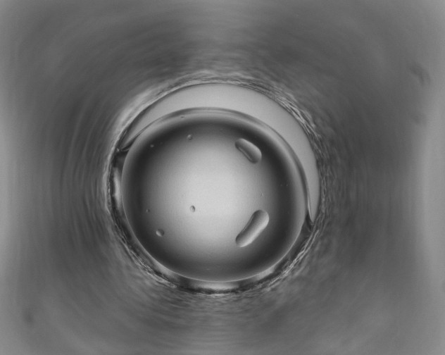 X0000110940340200906261305