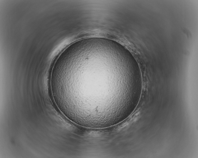 X0000110940341200906261305