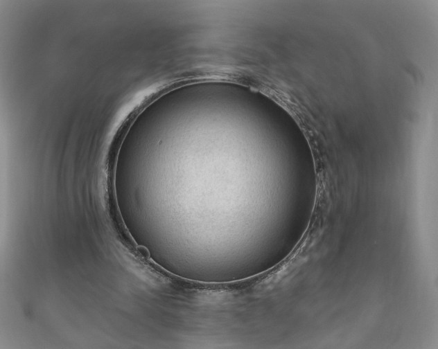 X0000110940342200906261305