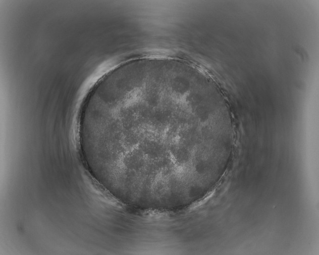 X0000110940343200906261305