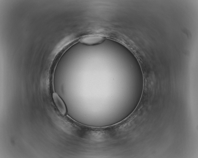 X0000110940344200906261305