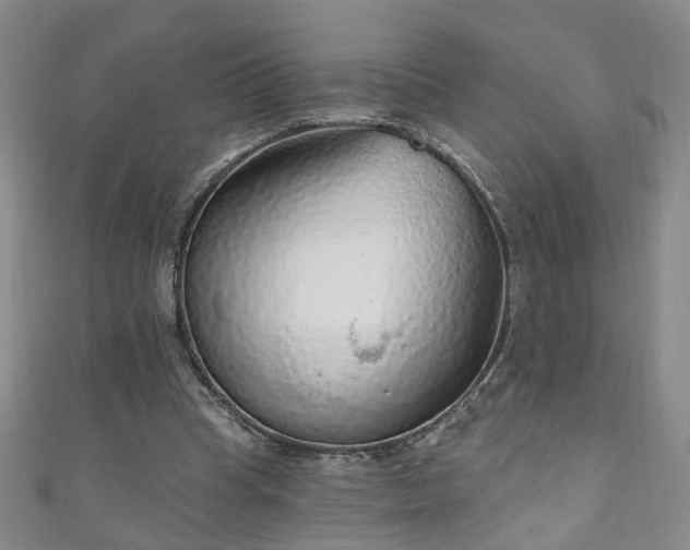 X0000110940345200906261305