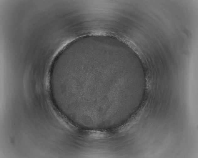 X0000110940347200906261305