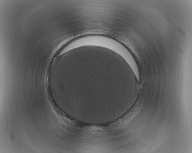 X0000110940348200906261305