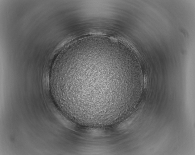 X0000110940349200906261305