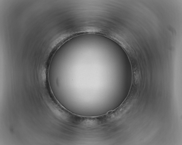 X0000110940350200906261305