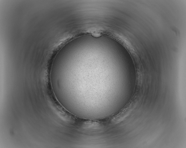 X0000110940354200906261305