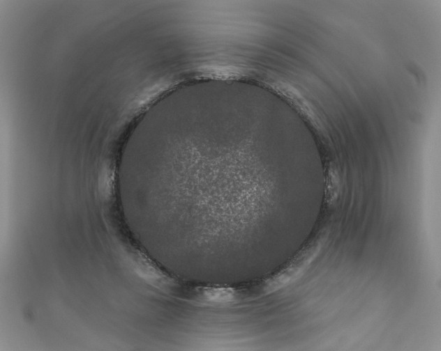 X0000110940355200906261305