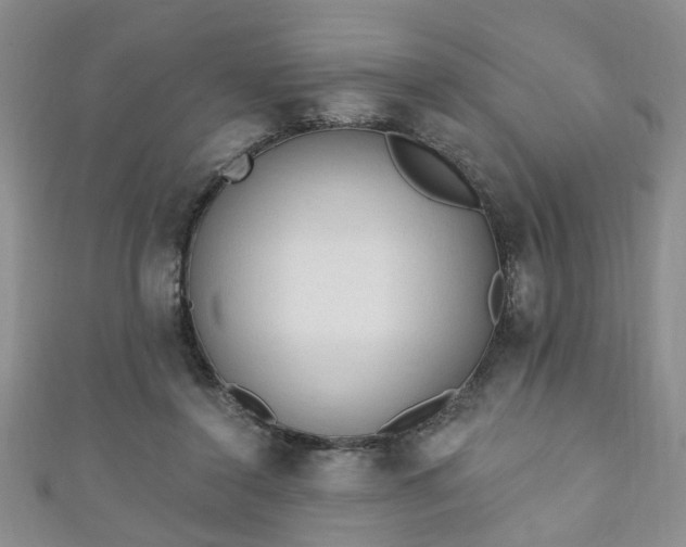 X0000110940356200906261305