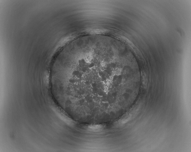 X0000110940357200906261305