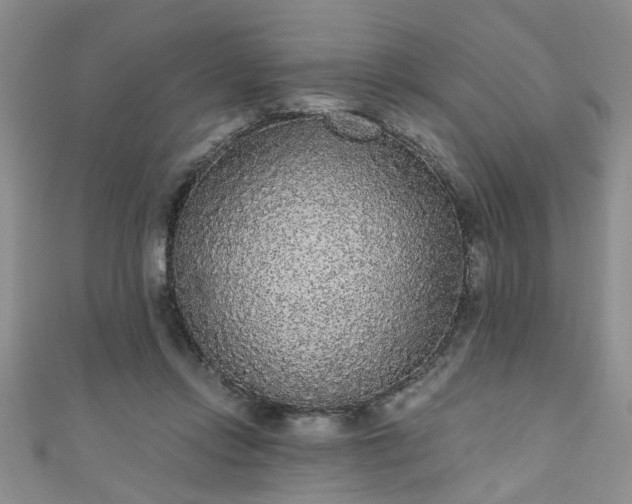 X0000110940358200906261305