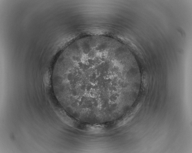 X0000110940359200906261305