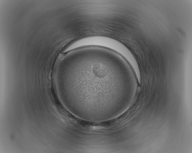 X0000110940360200906261305